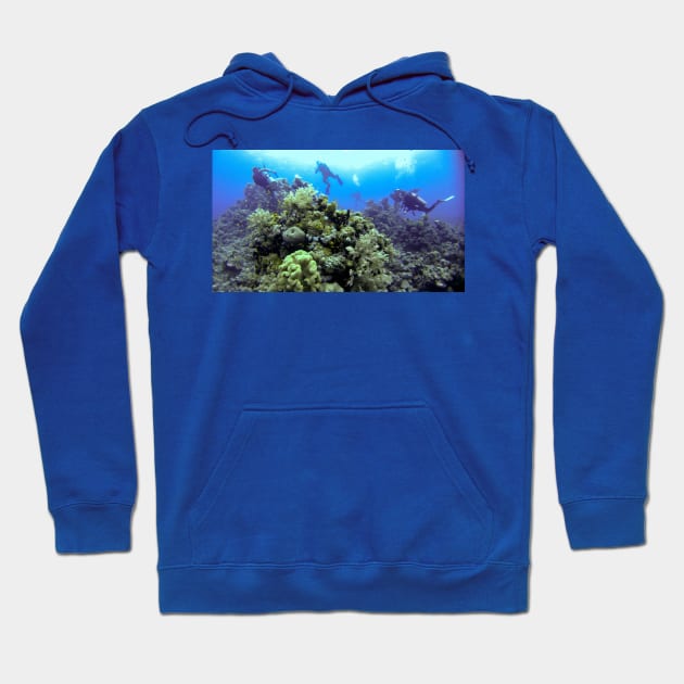 THE DIVE GUIDE Hoodie by dumbodancer